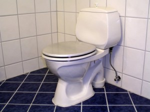 All I want is a quiet place to take a dump.